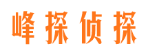 景谷市私家侦探